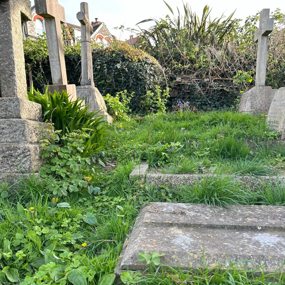 How to Make Chaotic Pig-Cannon Riders… – Deathzap